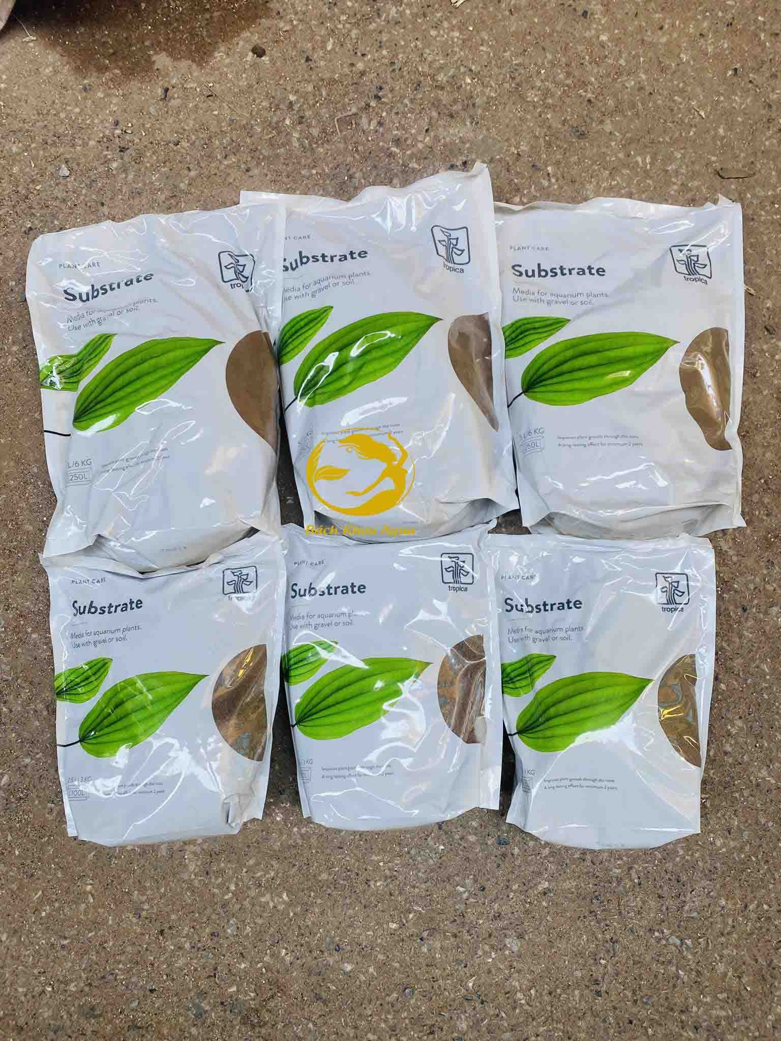 Cốt nền Tropica Substrate siêu dưỡng